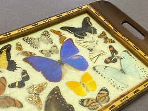 lot 45 image: Vintage Serving Tray w Butterflies