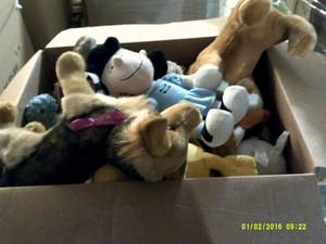 box of new stuffed animals ...