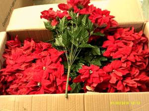 box of holiday bushes red ...