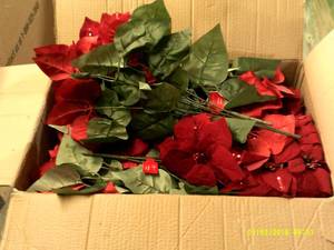box of holiday bushes red ...