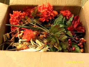 box of chrysanthemum picks ...