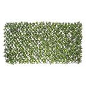 2 Expandable Willow Trellis with Ga...