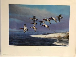 Richard W. Plasschaert - Wings of Winter - Print 10462000 - Unframed - Signed (Bent Corners)