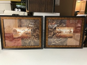 Framed Nature Art (Lot of 2)