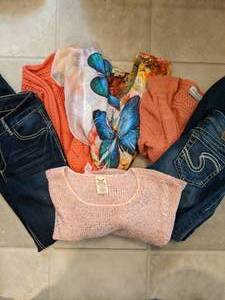 lot 443 image: Ladies Denim and Shirt Lot