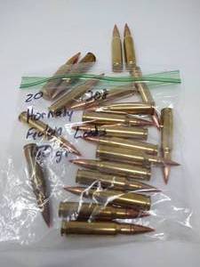 20 Rounds .308 Ammo - Factory Loads