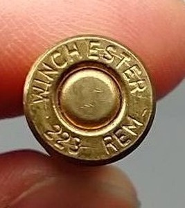 20 Rounds .223 Ammo