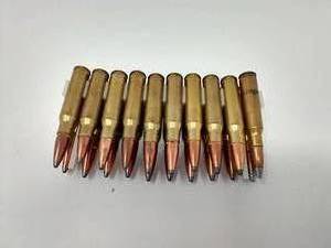 20 Rounds 308 Brass Soft Point Ammo
