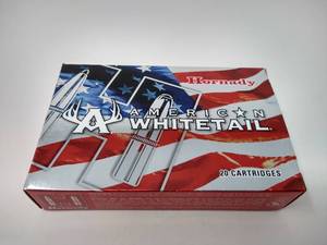 20 Rounds 30-06 Ammunition