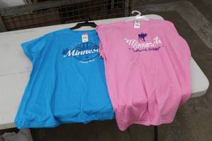 lot 267 image: Lot of (2) T-Shirt (new) - Fruit of the Loom HD Cotton Minnesota Northwoods Outfitters 3X-Large Pink (x1), Comfort Colors Minnesota 1858 3X-Large Blue (x1) Womens