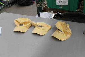 lot 347 image: Lot of (3) Baseball Cap Yellow with Minnesota 1858 Logo (new)
