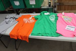 lot 453 image: Lot of (5) T-Shirt Womens Large Pink, Orange, Grey, Green (x2) with North Dakota Logo (new)