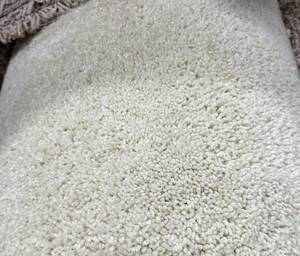 12 x 15 (180 SF) Karastan Casa Pestagua Candlestick Carpet Remnant