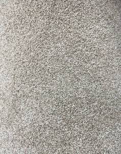 12 x 236 (282 SF) Shaw Lasting Impression Tonal Picturesque Carpet Remnant