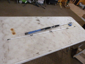 Shakespeare Surf Stik Rod