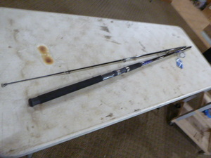 Shakespeare Tidewater Rod