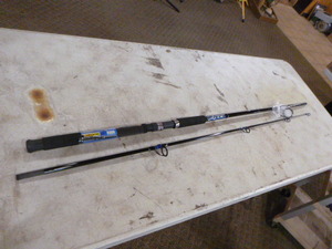 Shakespeare Tidewater Rod