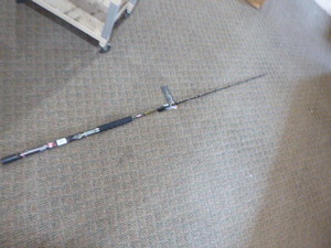 Penn Carnage II Rod