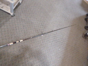 Penn Allegiance II Rod
