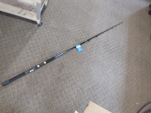 Shakespeare Tidewater Rod