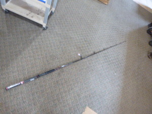Penn Allegiance II Rod