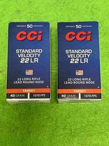 100 Rounds of .22 Ammo Ammunition