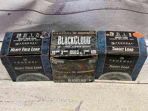 60 20 Gauge Shells