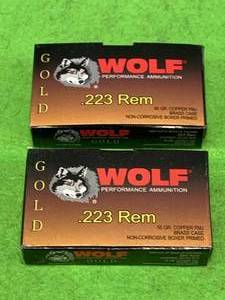 40 Rounds .223 Ammo Ammunition