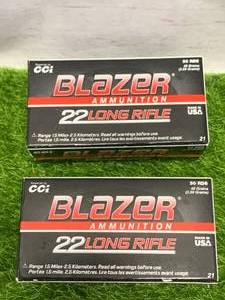 100 Rounds of .22 Ammo Ammunition