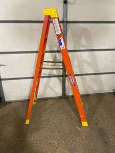 lot 108 image: Werner 6 Ladder