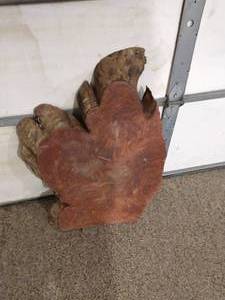 lot 331 image: Live Wood Sample