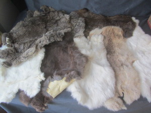 lot 56 image: Rabbit Furs