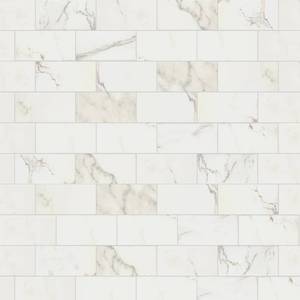 lot 743 image: 2 Cases of MSI Developed by Nature Calacatta 3 in. x 6 in. Glazed Ceramic Wall Tile (12 sq. ft.  case) - 24 sq ft