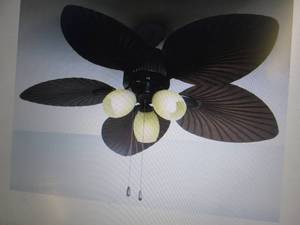 lot 28 image: Casablanca Ceiling Fan open box Ret...