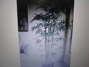 lot 74 image: Bamboo Tree open box Retail $79.99...
