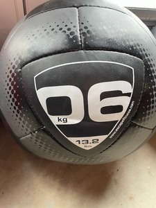 lot 24 image: Escape Vertballs Medicine Balls