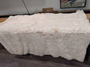 lot 152 image: Shaggy & Soft Chic Home Designs Throw Blanket