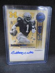 lot 264 image: 2008 Press Pass Anthony Carter Autograph #d 5974