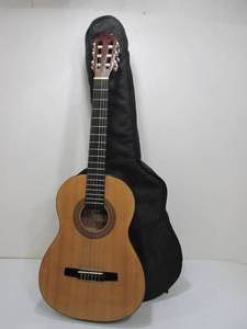 lot 223 image: HOHNER Model HC03 Acoustic Guitar wCase
