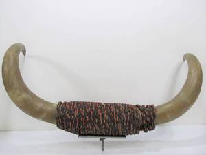 lot 188 image: Large Genuine Bull Horn Steer Western Display