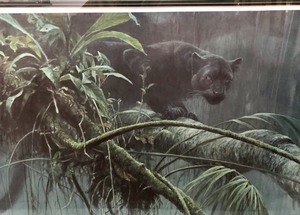 lot 290 image: Large Framed ROBERT BATEMAN - Shadow of The Rainforest Panther Print