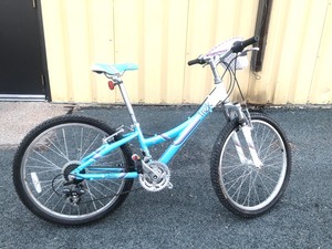 lot 136 image: Nice TREK MT220 Girls Bicycle