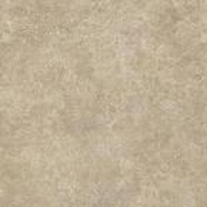 lot 6 image: Lifeproof Breezy Stone 16 in. W x 32 in. L Luxury Vinyl Plank Flooring (24.89 sq. ft.  case) 597.36 sq ft total