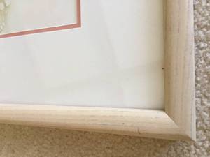 lot 27 image: Butterfly Watercolor Framed Art