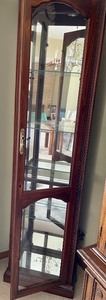 lot 229 image: Fabulous Display Case