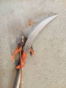 lot 262 image: 12 Foot Tree Pruner