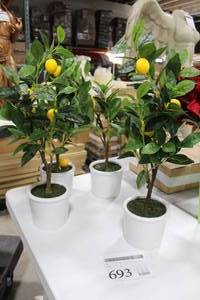 Lot of (4) Faux Lemon Tree Dcor in White Pot 26H
