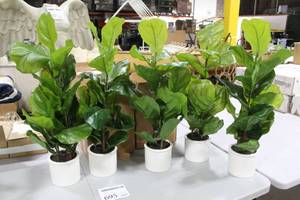Lot of (5) Artificial Plant Dcor in White Pot 34H