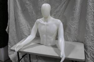 Mannequin Male Torso with Arms 29