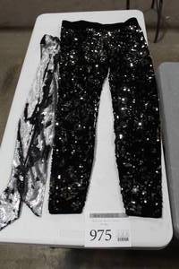 Express Sequine Pant and Scarf